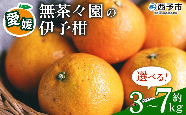 
                  無茶々園の伊予柑 約3kg～7kg　果物 いよかん イヨカン みかん ミカン 蜜柑 柑橘 フルーツ 選べる内容量 期間限定 季節限定 特産品 愛媛県 西予市【常温】
                