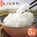 【ふるさと納税】 奈良県産 ヒノヒカリ 精米 5kg | 米 こめ コメ お米 オコメ おこめ 奈良県 御杖村 米 白米