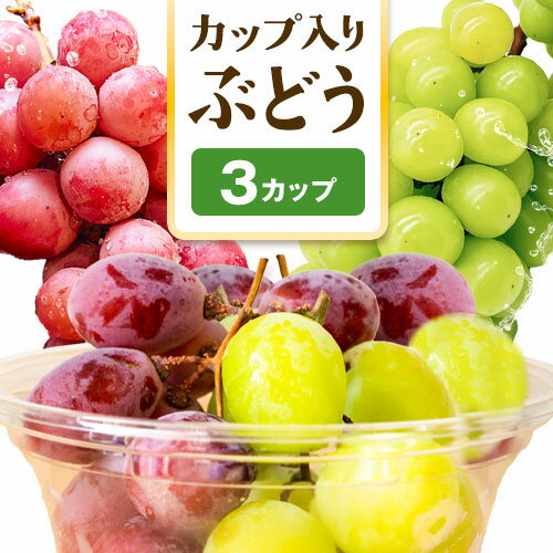 【ふるさと納税】【先行予約】カップ入りぶどう シャインマスカット クイーンニーナ 約300g × 3カップ 株式会社シグマサポート《9月中旬-10月下旬頃出荷》三重県 東員町 ぶどう ブドウ フルーツ 果物 冷蔵 冷蔵便