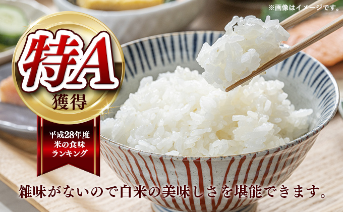 【無洗米】夢つくし 10kg(5kg×2袋)《30日以内に出荷予定(土日祝除く)》 米 こめ コメ 福岡県産米 ゆめつくし 人気 白米 おすすめ もちもち 福岡県 鞍手町
