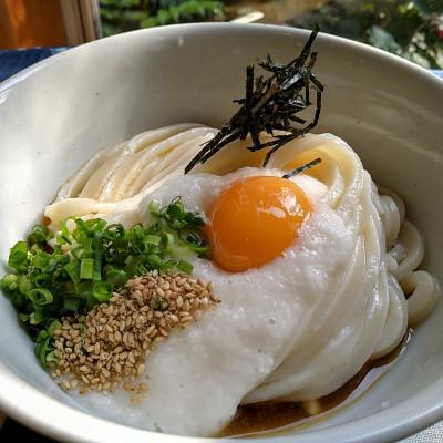 ふるさと納税 琴平町 四国こんぴら本場讃岐うどん味めぐり18人前(夏用)