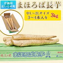 【ふるさと納税】青森県産まほろば長芋 中3kg 【 ふるさと納税 人気 おすすめ ランキング 長芋 山芋 ながいも いも とろろ 新鮮 野菜 詰め合わせ 青森県 おいらせ町 送料無料 】OIT211