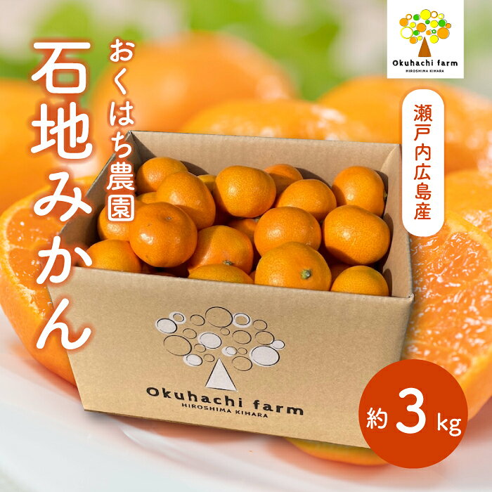 【ふるさと納税】【おくはち農園】石地みかん 3kg 《2026年12月発送予定》栽培期間中 防腐剤 ワックス 不使用 旬 柑橘 かんきつ フルーツ 果物 瀬戸内 166003
