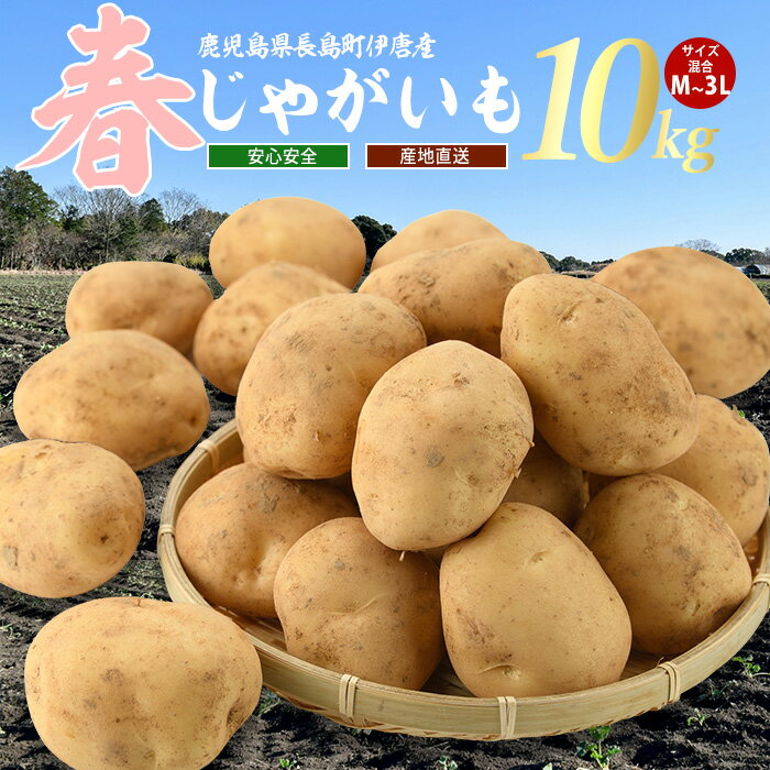 【ふるさと納税】＜新じゃが＞厳選手選別 長島町産春じゃがいも(約10kg・M〜Lサイズ)じゃがいも ジャガイモ ばれいしょ 馬鈴薯 野菜 根菜ジャガバター ポテト 旬 赤土【旬感フーズ】horino-7074