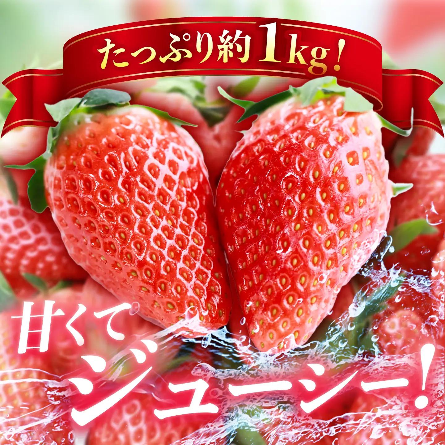【先行予約】 いちご 250g×4パック / 恵那市 / 阿部農園 [AUGA003] いちご