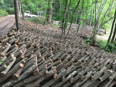 原木乾燥しいたけ〜原木栽培のしいたけを使用〜【秩父 横瀬町 小松沢レジャー農園 日本農業賞受賞】