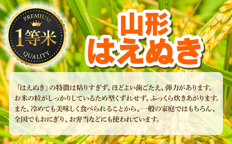 【令和7年産】はえぬき 精米 5kg　山形県鶴岡市　庄内丸山農場　| 5キロ 米どころ 庄内米 ブランド米 米 コメ こめ 精米 ご飯 ごはん 美味しい お取り寄せ 農家直送 お弁当 おにぎり 東北 