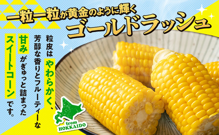 【先行受付】R8年産 トウモロコシ（ゴールドラッシュ） 10本から12本 ピンクの八百屋 ナツやさい | とうもろこし トウモロコシ ゴールドラッシュ 旬 新鮮 野菜 夏 甘い 産地直送 北海道 津別