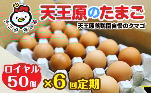 【定期便】6回定期 【天王原のたまご】 ロイヤル卵 50個入り【定期便 6回定期便 セット たまご 卵 玉子 タマゴ 濃厚  ハリ 弾力 ボリューム 甘味 旨味 卵黄 風味 生 コク 甘味 卵かけご飯 卵焼き 目玉焼き オムレツ 茶碗蒸し お菓子作り パンの材料】