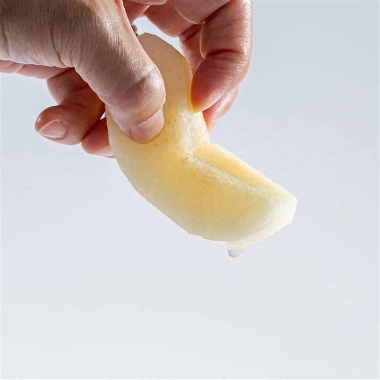 梨 なし 二十世紀梨 3kg 東郷 (5MS.)| 二十世紀 鳥取県 湯梨浜町 果物 フルーツ 特産品 2026年 先行予約 先行受付