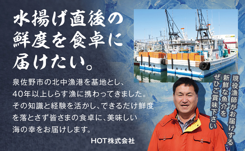 サーモン カマ 600g（約10-12切れ）【カマ 尻尾 小分け 海鮮 魚介 鮭 さけ しゃけ】 G3800_イメージ4
