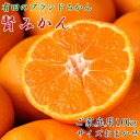 【ふるさと納税】有田のブランド「賢みかん」10kg(S～Lサイズおまかせ）ご家庭用【2025年11月中旬頃より順次発送】