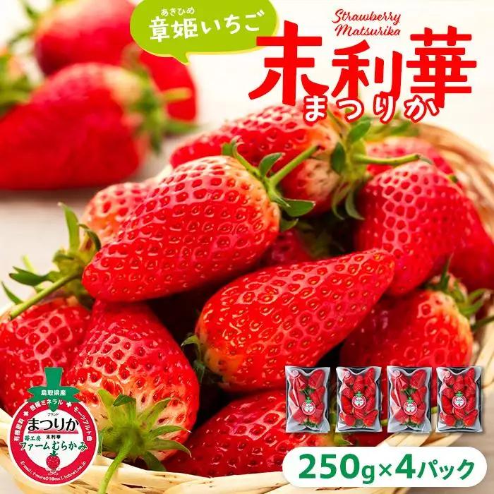 章姫（あきひめ）いちご 4P（250g×4）「末利華（まつりか）」 いちご