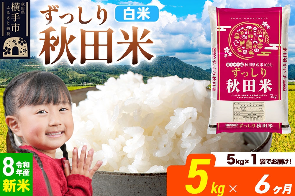 
                  《令和8年産 新米受付》《定期便6ヶ月》秋田県 横手市産 ブレンド米【白米】5kg（5kg×1袋） [米 お米 こめ 白米 精米 ブレンド米 小分け ご飯 ごはん 秋田県産 横手市]
                