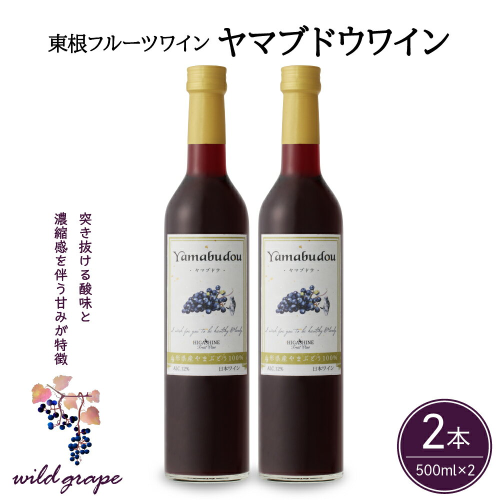【ふるさと納税】 ワイン ヤマブドウワイン 500ml × 2本 セット / 赤ワイン 日本ワイン ワインセット 国産 ぶどう 赤 酒 お酒 洋酒 果実酒 アルコール 母の日 父の日 敬老の日 記念日 誕生日 ギフト プレゼント お取り寄せ 送料無料 山形県 東根市