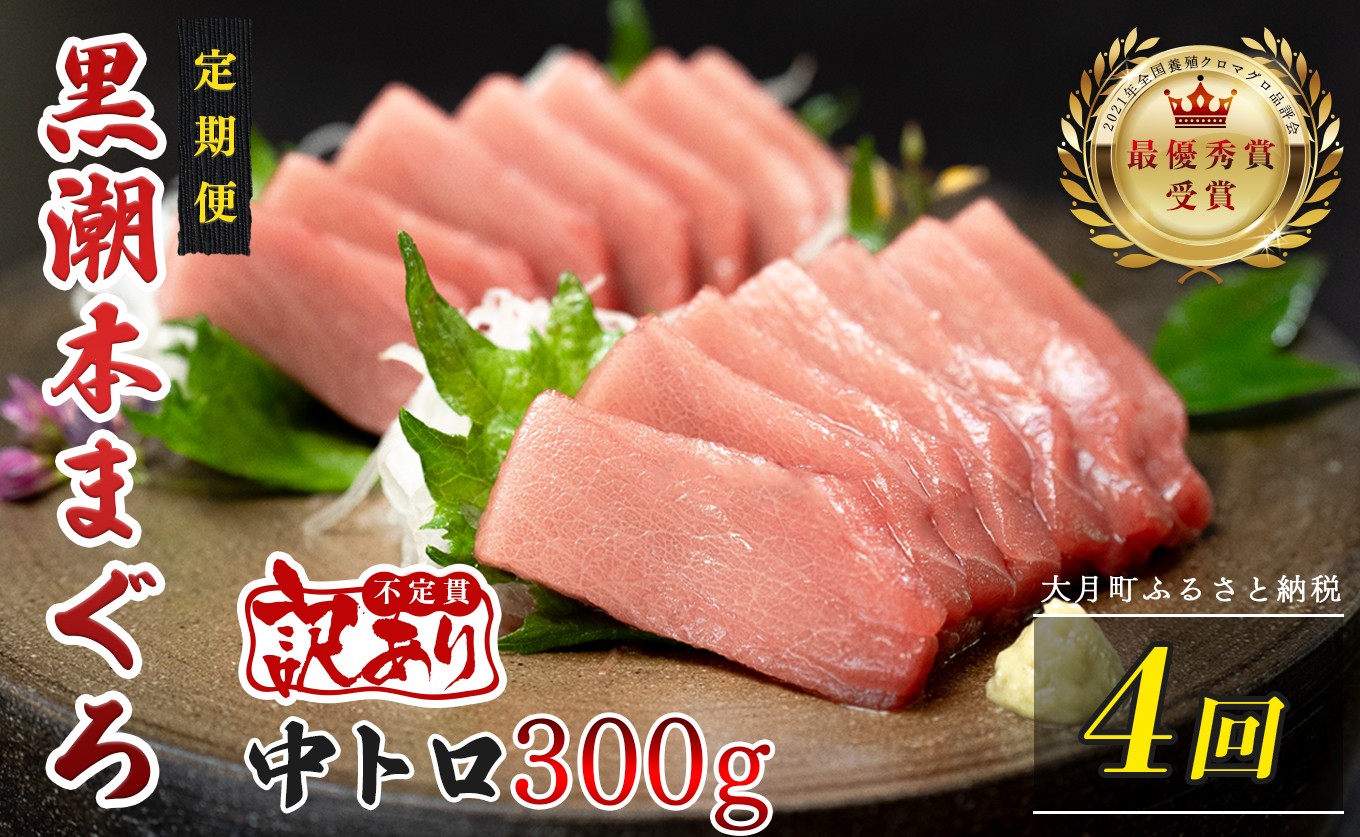 
                  訳あり 不定貫 定期便 4回 高知県産 本マグロ 中トロ 養殖 300g
                