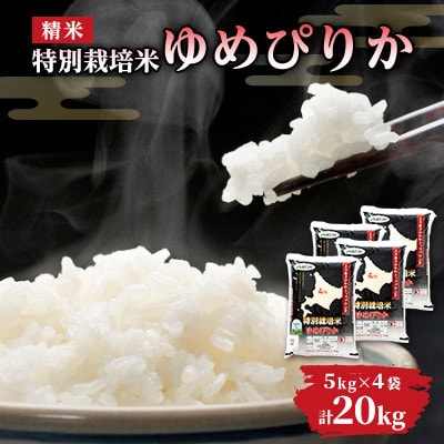 【令和7年産米】北海道旭川市産 特A ゆめぴりか 新米(精米)5kg×4袋_05663【1705127】