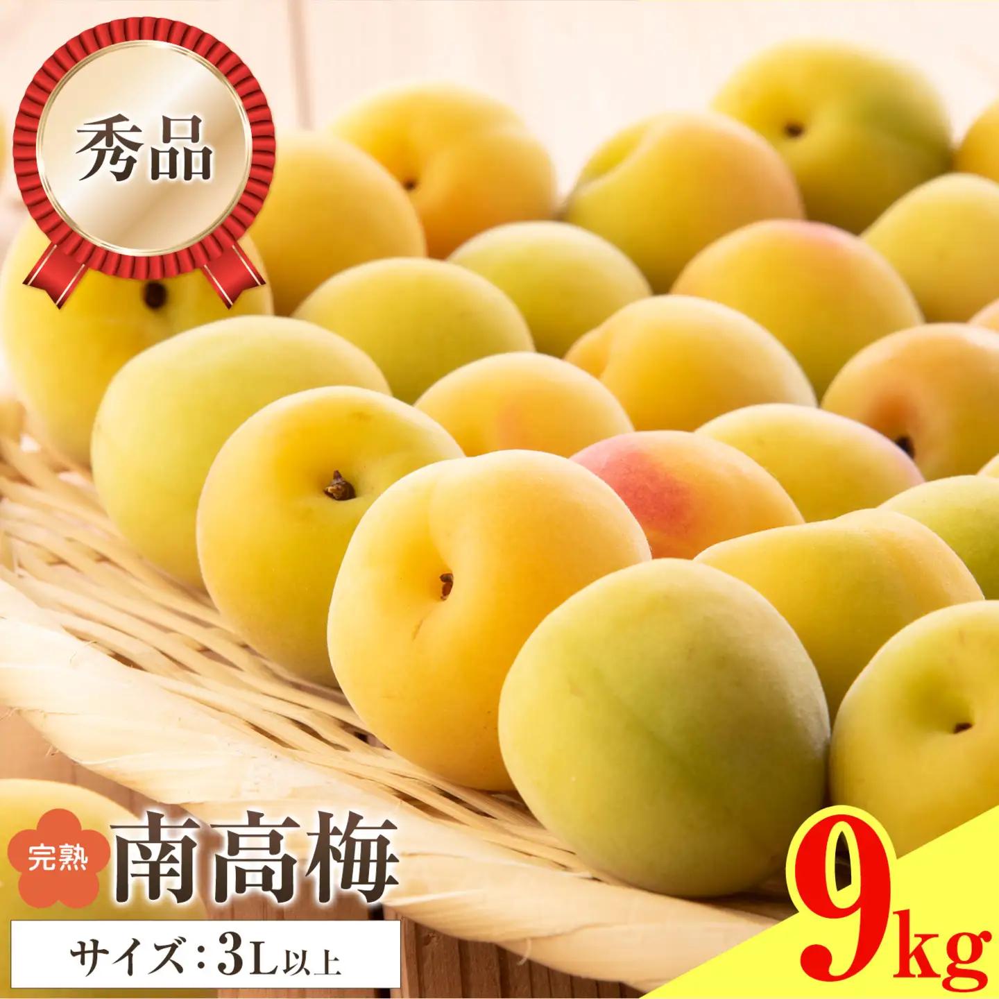 紀州南高梅 秀品 (完熟) 3L 9kg 農業福祉研究機構《6月下旬-7月上旬頃出荷》