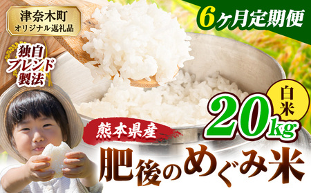 【6ヶ月定期便】熊本県産 白米 ブレンド米 肥後のめぐみ米 20kg 熊本県産 ふるさと納税 精米 米 こめ ふるさとのうぜい コメ お米 おこめ《申込み翌月から出荷》