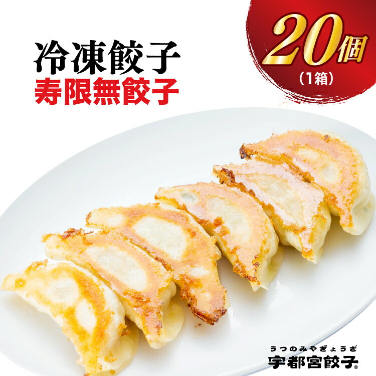 【ふるさと納税】【宇都宮餃子 寿限無】餃子20個入り｜餃子 ぎょうざ ギョウザ ギョーザ 冷凍食品 冷凍餃子 惣菜 夜ご飯 おかず おつまみ 手軽 時短 お取り寄せ グルメ 送料無料 栃木県 宇都宮市