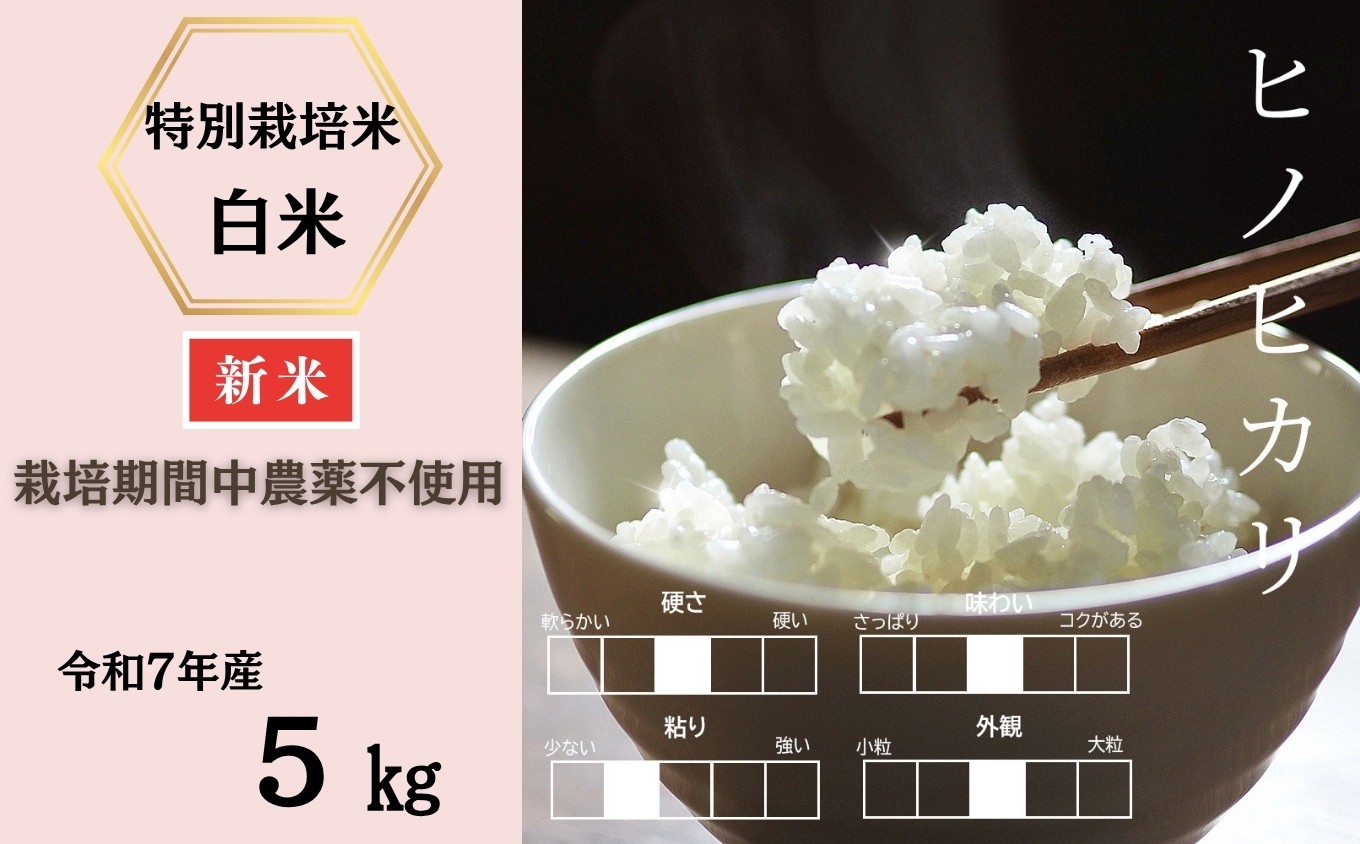 
            ＜令和7年産新米 ＞佐賀県産特別栽培米ヒノヒカリ 白米5㎏（栽培期間中農薬不使用）［A0212-0005］
          