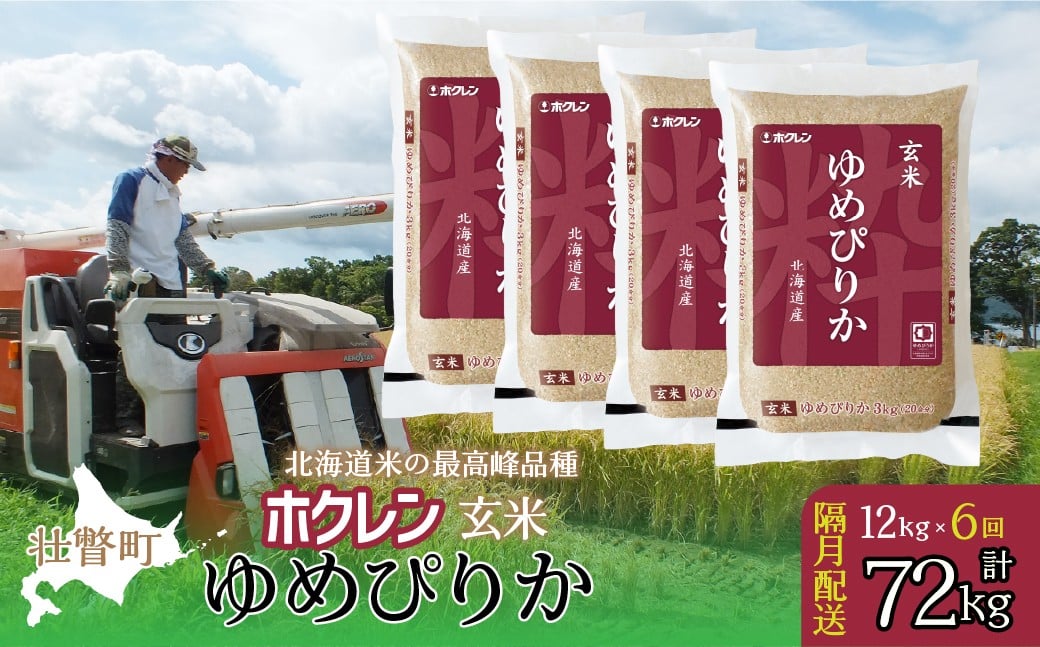 
            【新米】【令和7年産米】【隔月6回配送】 (玄米12kg）ホクレンゆめぴりか（3kg×4袋）【 ふるさと納税 人気 おすすめ ランキング 北海道産 米 こめ 玄米 げんまい ご飯 ごはん ゆめぴりか 定期便 12kg 北海道 壮瞥町 送料無料 】 SBTD179
          