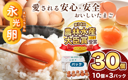 ＼ 2週間以内 に発送 ／ メディア紹介多数！ 永光卵 【 30個 】 卵 たまご パック | スピード発送 送料無料 えいこうらん 光永ファーム みつなが おいしい卵 卵かけごはん プリン ゆうパック 君津市 きみつ 千葉県 すぐ届く