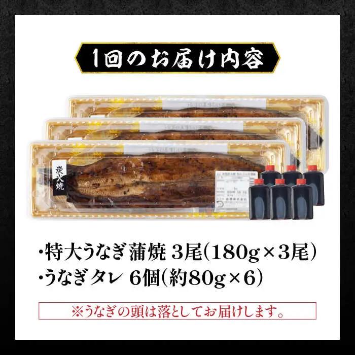 【12回定期便】国産 鰻 うなぎ蒲焼 特大3尾 /すみまる [UDH016] うなぎ