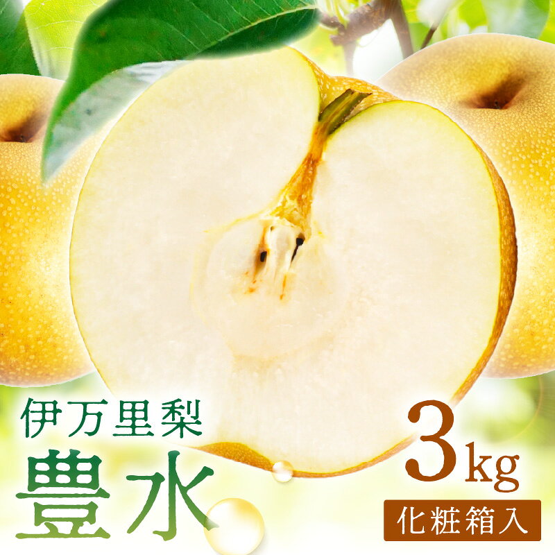 【ふるさと納税】【 数量限定 】 伊万里 梨 豊水 3kg 化粧箱 199-B1084