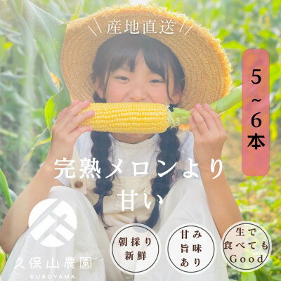 【ふるさと納税】【完熟メロンのように甘い】朝採り!とうもろこし 5～6本(約1.5キロ～2キロ)【とうもろこしトウモロコシ 甘い コーン 野菜 やさい 福岡県 筑前町】