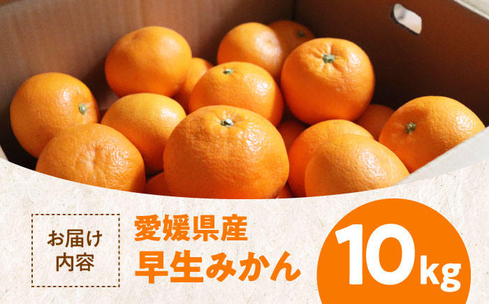 【先行予約】【11月中旬から順次発送】温州みかん（早生） 10kg 愛媛県大洲市/永沼農園 [AGAW017]温州ミカン うんしゅうみかん  みかん  フルーツ ミカン 果物 くだもの 愛媛みかん デ