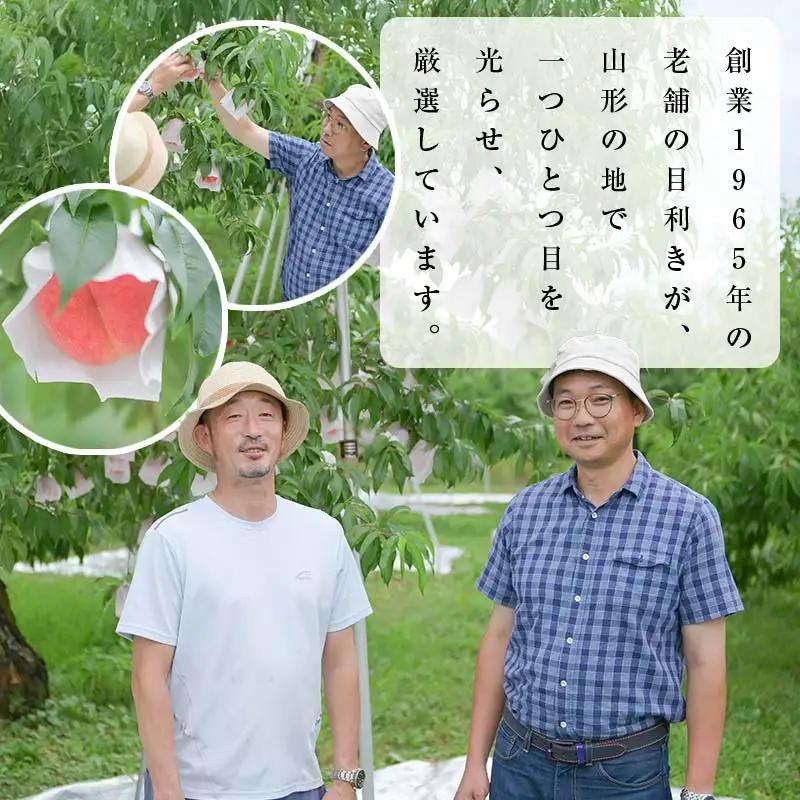 山形県産 白桃 ご自宅用 品種おまかせ 4.5kg もも フルーツ 【FSY-2742】