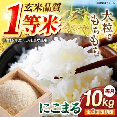 ふるさと納税 糸島市 【全3回定期便】 にこまる 玄米品質1等米 白米 10kg 糸島市産 [AGR011]