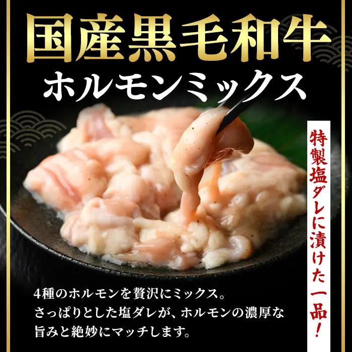 ＜14営業日以内発送！＞国産黒毛和牛ホルモンミックス 塩ダレ (計750g・150g×5)   国産 牛肉  ホルモン【肉のちょーさん】A1058