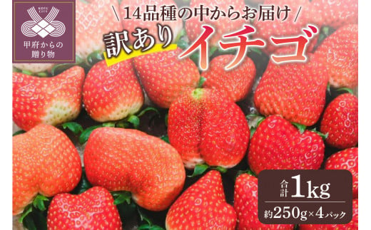 お得　訳ありイチゴ　1kg