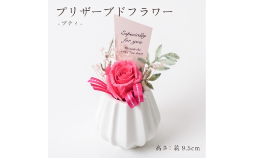 プリザーブドフラワーアレンジ ＜プティ バラ(ホットピンク)＞【1752015】
