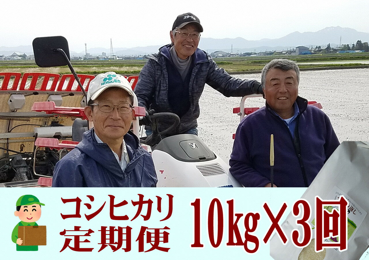 【ふるさと納税】【令和7年産】おかずのいらないコシヒカリ「つばめ返し10kg × 3か月」3か月定期便(月イチで計3回)【 コシヒカリ 10kg こしひかり 米 令和7年産 新潟県 燕市 送料無料 】