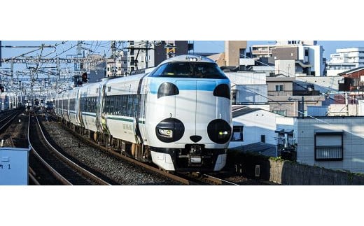 実際に走行していた「パンダくろしお」