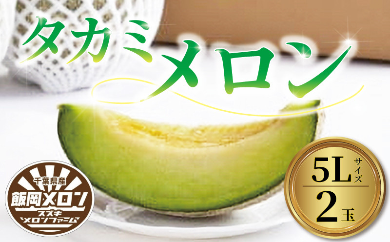 
            ＜2025年先行受付＞飯岡メロン 青肉 5L 約 1.7kg × 2玉 メロン 大玉 フルーツ 果物 プレゼント 贈答 ギフト デザート スイーツ おやつ 青肉 野菜 青果 お祝い お礼 母の日 父の日 誕生日 甘い 糖度 千葉県 旭市
          