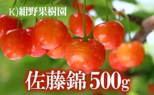 
            No.2240さくらんぼ「佐藤錦」約500g【2025年発送　先行予約】
          