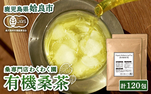 
            a793 国産！わくわく園有機桑茶・計120包(2g×60包・2袋)【わくわく園】 姶良市 桑の葉 有機 桑茶 桑 桑の葉茶 お茶 ティーバッグ ティーパック ノンカフェイン くわ 茶 九州産
          