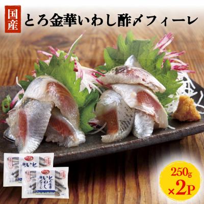 ふるさと納税 石巻市 とろ金華いわし酢〆フィーレ 500g 金華いわし 鰯 いわし イワシ フィレ 切身 酢締め お酢 魚