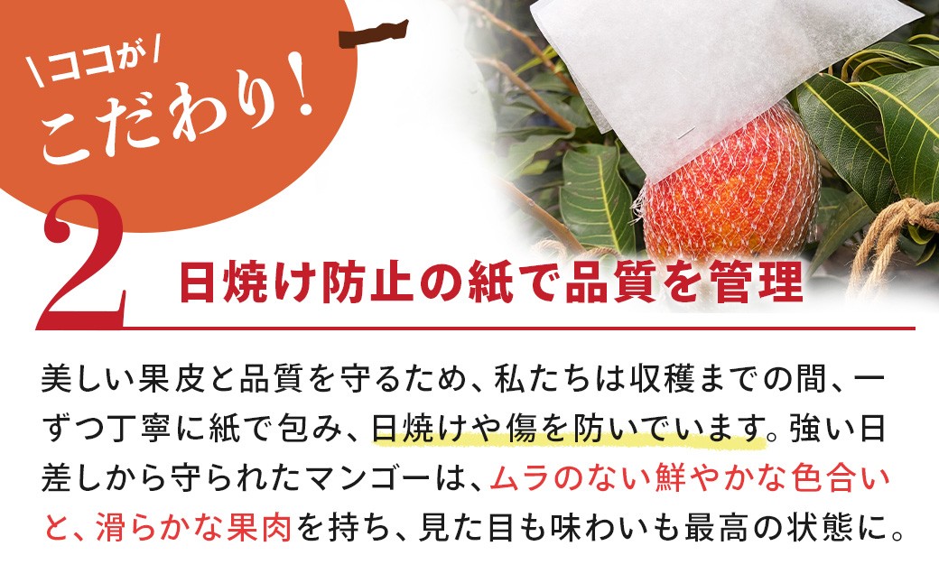 ※調理例