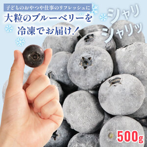 冷凍ブルーベリー 約500g（1袋500g） ブルーベリー ブルーベリー ブルーベリー ブルーベリー ブルーベリー アグリモバード