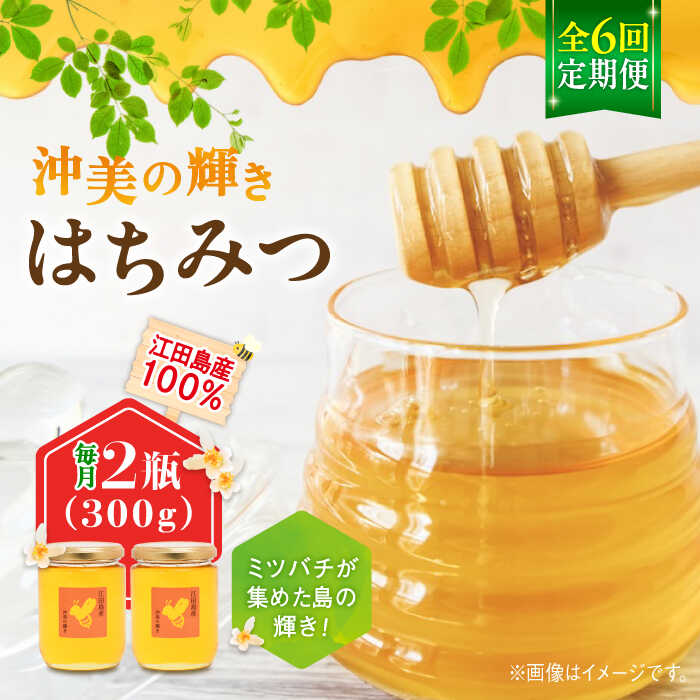 【ふるさと納税】【全6回定期便】江田島産100％ はちみつ 沖美の輝き300g×2本 ハチミツ 蜂蜜 国産 広島 江田島市/はつはな果蜂園 [XCD025] ハチミツ 国産蜂蜜 国産はちみつ 純粋はちみつ 人気 備蓄 非常食 保存食 産地直送 定期便