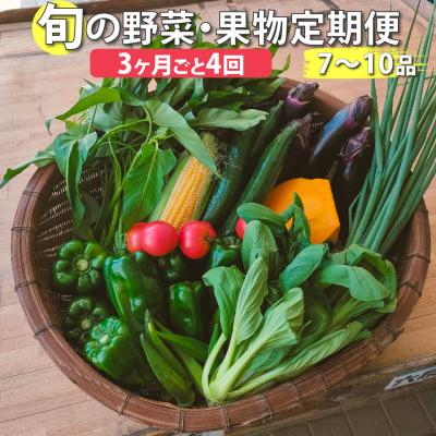 ふるさと納税 佐川町 <年4回定期便> はちきんの店 野菜 セット 7~10品