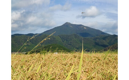D409 無洗米阿東のこしひかり5㎏（白米）
