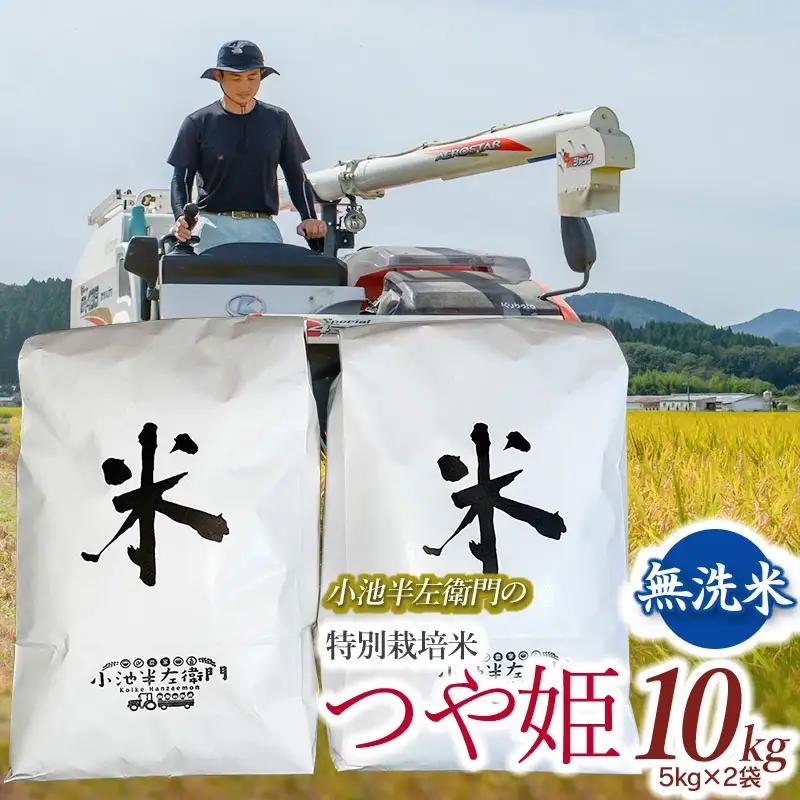 数量限定 【令和7年産】 山形県庄内産 小池半左衛門のお米 特別栽培米 つや姫 無洗米 10kg (5kg×2袋)