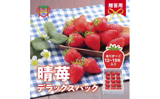【先行予約】しあわせ届けるいちご農園HappyComeComeの晴苺(はれいちご)450ｇハレの日に晴苺(はれいちご)《2026年12月中旬-3月下旬頃出荷》