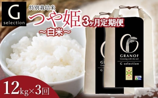 【令和7年産】【新米】【定期便3ヶ月】 特別栽培米 Gセレクション つや姫「白米」 12kg (6kg×2袋)×3ヶ月 山形県鶴岡市産　株式会社グラノフ